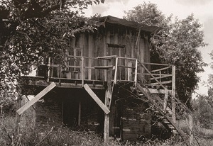 bagevi