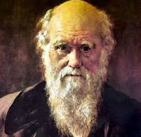 6-Darwin