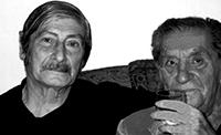 AbidinDino