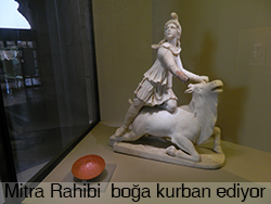 mitra2
