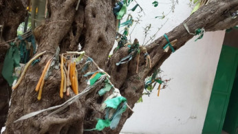 Çukurova Arap Kültüründe Cosma Damian