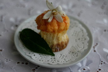 Portakal Çiçeği Festivaline Yakışan Adana Stili Portakal Çiçekli Tatlı Peynir Keki