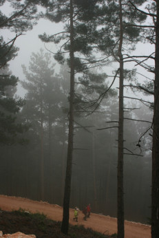 Doğru Beslenme ve Spor