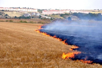Çukurova'da Kara Bulutlar; Anız Değil Toprağımız Yanıyor...