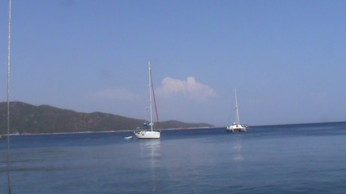 Kızgın Su Kaplumbağası