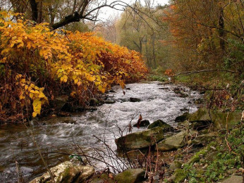 Şiirlerle Bir Adana Aşk Masalı - 2